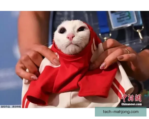 2026世界杯将引入生物识别技术提升安检效率和观赛体验